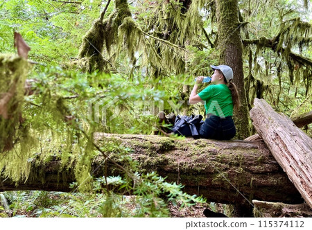 Girl in hike. Traveler in mountain forest Teenage girl in a green shirt Sitting on a big fallen tree MacMillan Provincial Park canada vancouver island travel travel agency Girl in hike. Traveler in mountain forest Teenage girl in a green shirt Sitting on a big fallen tree MacMillan Provincial Park canada vancouver island travel travel agency 115374112