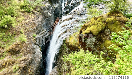 Waterfall in Englishman River Falls Provincial Park, Vancouver Island, British Columbia, Canada Waterfall in Englishman River Falls Provincial Park, Vancouver Island, British Columbia, Canada 115374116