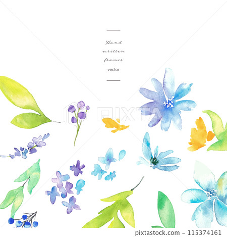 Watercolor painting. Vector illustration background of watercolor plants and flowers. Set of watercolor flower postcard backgrounds. 115374161