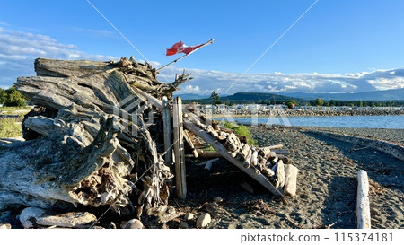 wooden house from boards in childhood on the ocean the windmill propeller on the house is made from the feathers of a large bird Eagle a hut on the seashore made of trees that broke down from a storm 115374181
