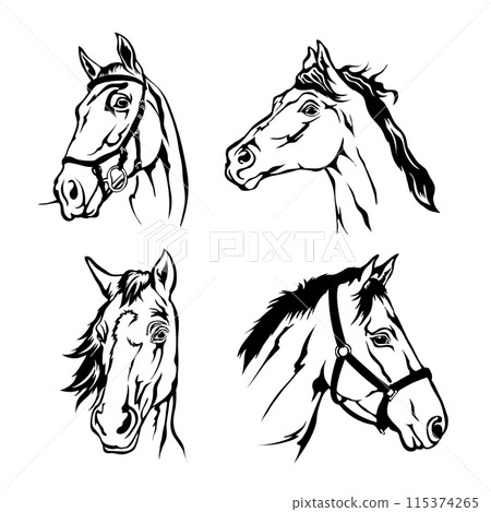 Horse head vector illustration, good for Stable and Ranch logo Horse head vector illustration, good for Stable and Ranch logo 115374265