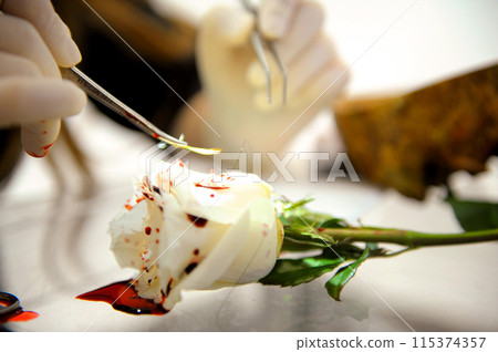 close-up White rose with artificial blood scalpel and surgical instruments for cutting operation suturing tissue suturing operation demonstration treatment surgical implants on ancillary items close-up White rose with artificial blood scalpel and surgical instruments for cutting operation suturing tissue suturing operation demonstration treatment surgical implants on ancillary items 115374357