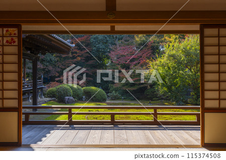 Autumn in Kyoto, Zuishin-in Temple, the garden seen from the Noh room Autumn in Kyoto, Zuishin-in Temple, the garden seen from the Noh room 115374508