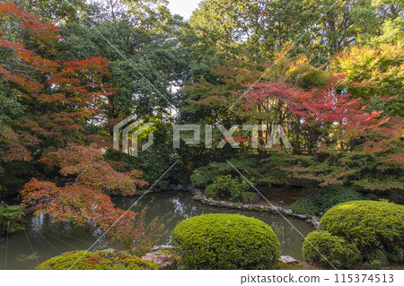 秋天的京都瑞信院本堂庭園 秋天的京都瑞信院本堂庭園 115374513