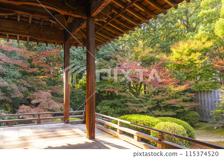 Autumn in Kyoto: Zuishin-in Temple, main hall garden Autumn in Kyoto: Zuishin-in Temple, main hall garden 115374520