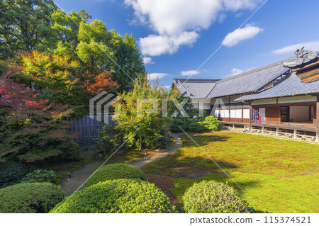 京都的秋天，從主殿看瑞心院、庭園和表書院 115374521