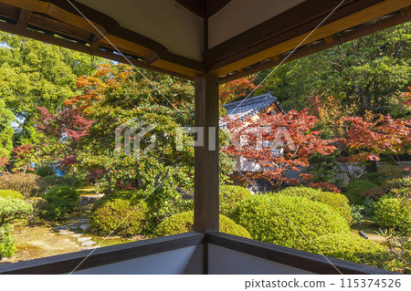 Autumn in Kyoto, Zuishin-in Temple, the corridor leading to the inner study 115374526