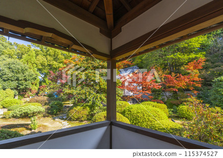 Autumn in Kyoto, Zuishin-in Temple, the corridor leading to the inner study Autumn in Kyoto, Zuishin-in Temple, the corridor leading to the inner study 115374527