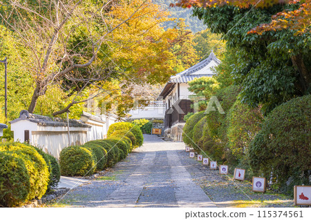 京都小池方法 115374561