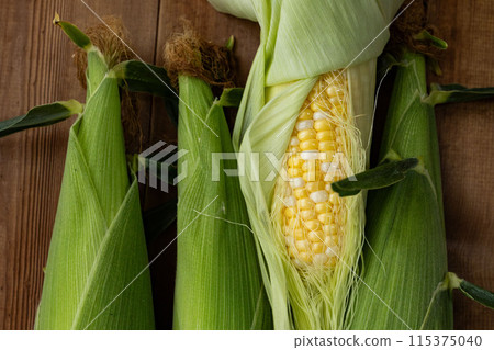 Corn 115375040
