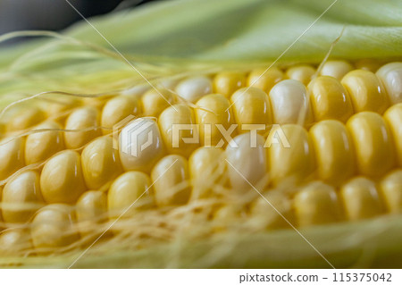 玉米 115375042