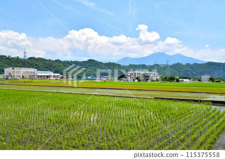 凱科馬中心Seseragi地區/望向Chigatake山（山梨縣北斗市）[2024.6] 115375558