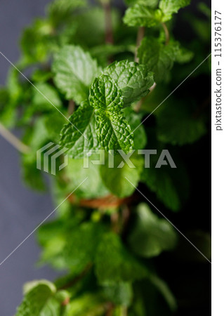 Fresh organic mint on rustic black stone table background. Selective focus. Fresh organic mint on rustic black stone table background. Selective focus. 115376177