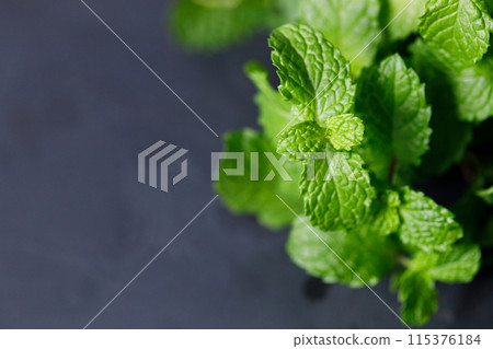 Fresh organic mint on rustic black stone table background. Selective focus. 115376184