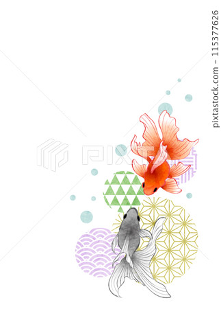 金魚，日本圖案，夏末的問候，插圖，可愛，垂直，多彩 115377626