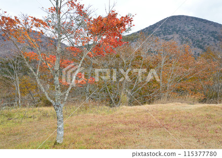 Numapara Marshland 2023-10-23 #126 115377780