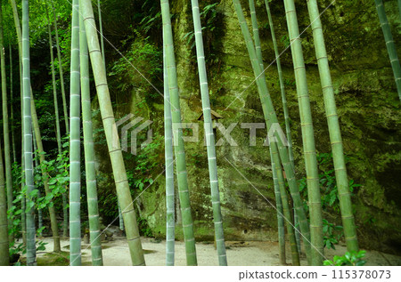 神奈川縣鎌倉市山之內的旅遊景點明月院 115378073