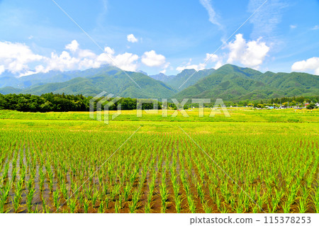 View of Mt. Kaikoma from Shirasu, Shirasu Town, Hokuto City (Hokuto City, Yamanashi Prefecture) [June 2024] 115378253
