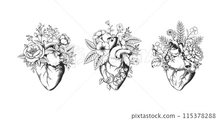 Human heart. Vintage flower sketch of tattoo. Anatomy internal organ with floral roses. Hipster monochrome print. Love and romance. Engraved blooming blossoms. Vector design elements set 115378288
