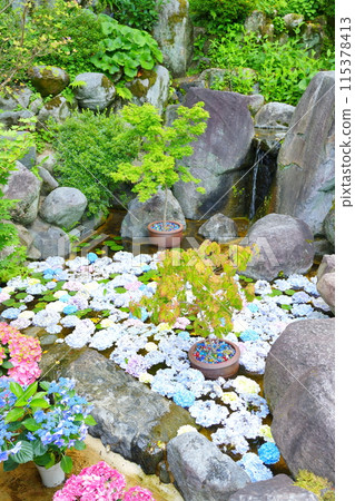 Hydrangeas floating on the water in the garden Hydrangeas floating on the water in the garden 115378413