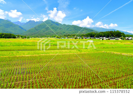 從北斗市白州町白洲眺望日向山（山梨縣北斗市） [2024.6] 115378552