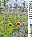 Scenery with flowers 115378561