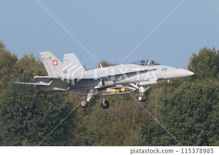瑞士空軍 F/A-18C 大黃蜂著陸 115378985
