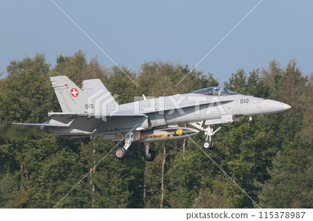 瑞士空軍 F/A-18C 大黃蜂著陸 瑞士空軍 F/A-18C 大黃蜂著陸 115378987