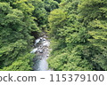 Doshi River in summer 03 115379100