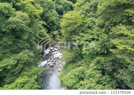 Doshi River in summer 03 115379100
