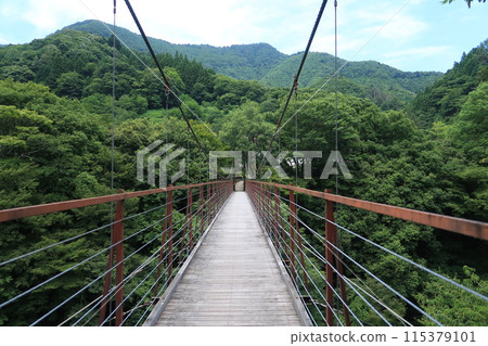 Doshi Valley Nohara Suspension Bridge 02 115379101