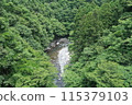 Doshi River in summer 04 115379103