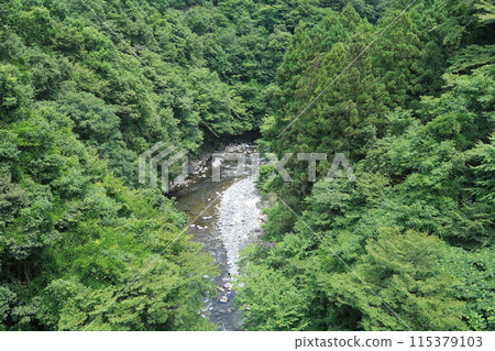 Doshi River in summer 04 115379103
