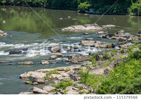 京都府南山城村京都南部的山間溪流木津川 京都府南山城村京都南部的山間溪流木津川 115379566