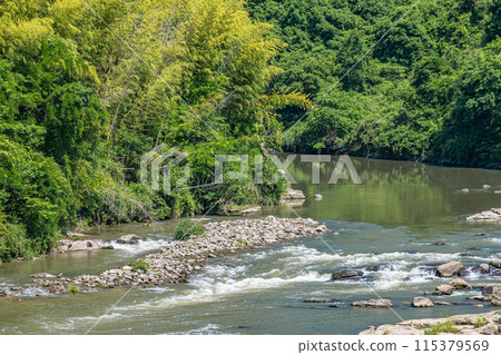 京都府南山城村京都南部的山間溪流木津川 115379569