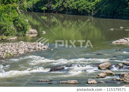 京都府南山城村京都南部的山間溪流木津川 115379571