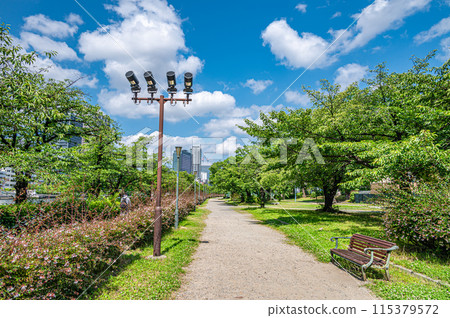 Fresh greenery at Minamitenma Park, Osaka City 115379572
