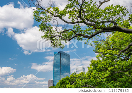 View of the OBP area from inside Osaka Castle 115379585