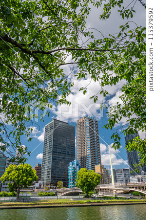 中之島公園和摩天大樓，塔樓公寓風景，大阪市 115379592