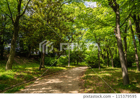 大阪城公園之森 115379595