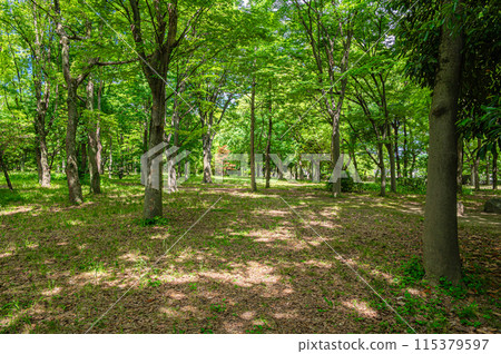 大阪城公園之森 大阪城公園之森 115379597