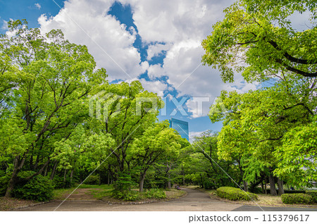 大阪城公園之森 115379617