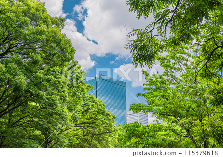 透過大阪城內的森林看到 OBP 水晶塔 115379618