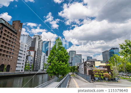 Nakanoshima Park and the buildings in central Osaka 115379640