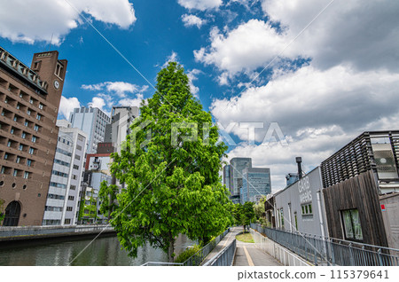 Nakanoshima Park and the buildings in central Osaka Nakanoshima Park and the buildings in central Osaka 115379641