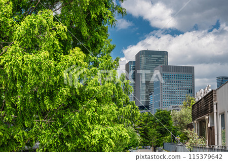 中之島公園的新鮮綠樹和節日塔 115379642