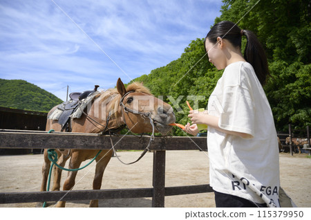 Woman interacting with horses Woman interacting with horses 115379950