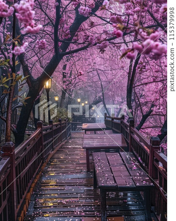 Blossoming beauty: enchanting cherry trees in full bloom, painting the landscape with vibrant hues of pink and white, creating a stunning display of natural elegance and springtime charm 115379998