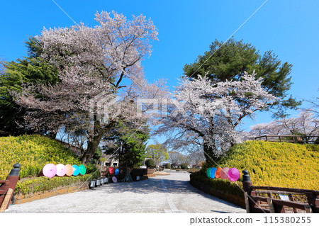 Mibumachi Castle Ruins Park/Mibumachi, Tochigi Prefecture Mibumachi Castle Ruins Park/Mibumachi, Tochigi Prefecture 115380255