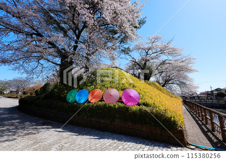壬生町城跡公園/栃木縣壬生町 壬生町城跡公園/栃木縣壬生町 115380256